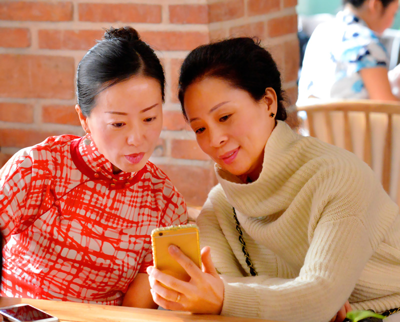 2016���ڃA�Ѳ�Ԓ�� �ᭇ���������ۼ���