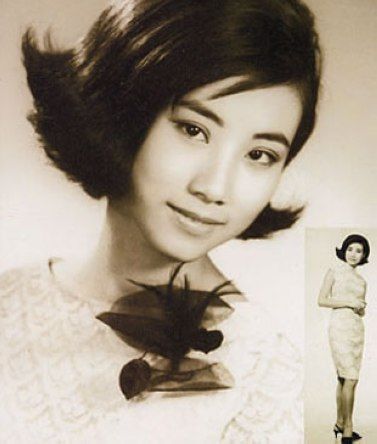 TVB 40��ʮ����������