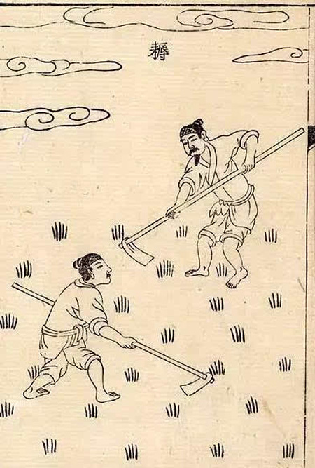 深度丨服飾衣著是一個民族穿在身上的文明