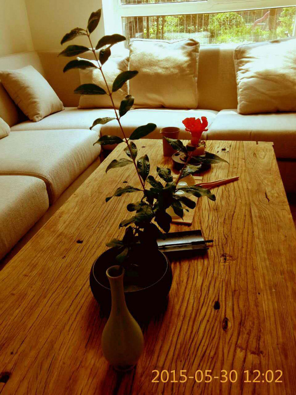 �t�^������Ş��(����Ӻ�͌m��)