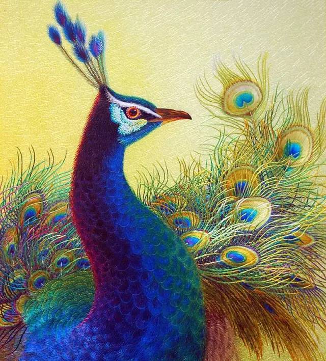 �����۵���Ů�����˽��֪�R 