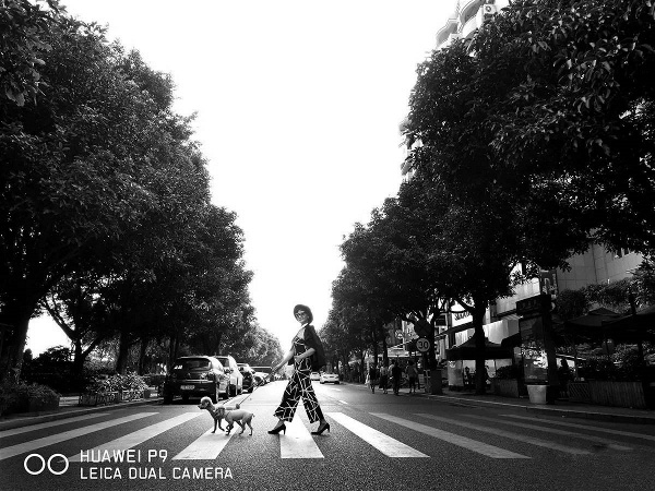 73�q���Ї�(gu��)�����̴����������������T�����������������ā��c���g�o�P(gu��n)��