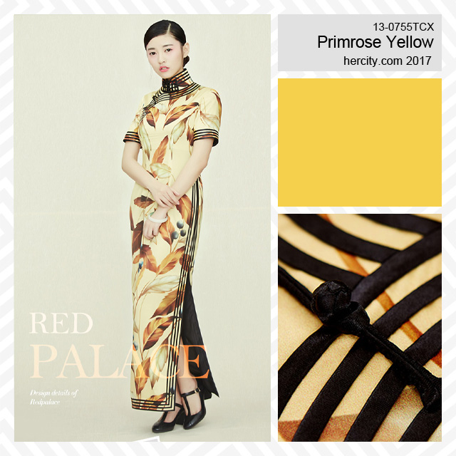 ����Ҫ����һ�����A�ǾW(w��ng)�l(f��)��2017������������ɫڅ��