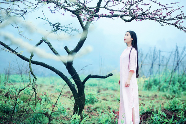 ��η����