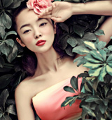 ���@ϵΨ����������