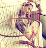 ��͏d���ҕ�Xʢ�磺����ʷ���