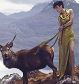 ���ơ��r�а�ɯ����㱌�����Pֱ���Լ�