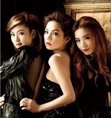 <em>SHE</em>׃�F�D ����t���ű��Č���